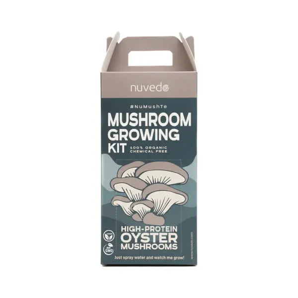 Organic Shiitake Mushroom Grow Kit Fruiting Block