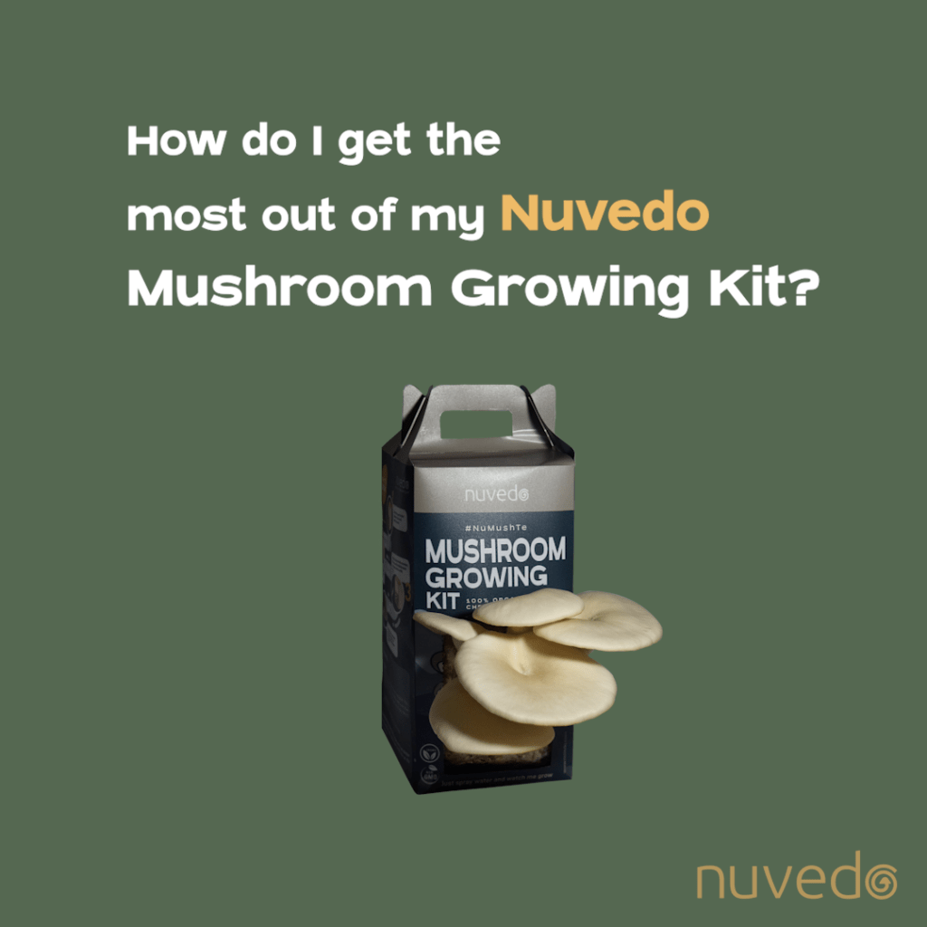 Video on how to make the most use out of my Nuvedo mushroom growing kit.