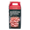 Mushroom growing kit