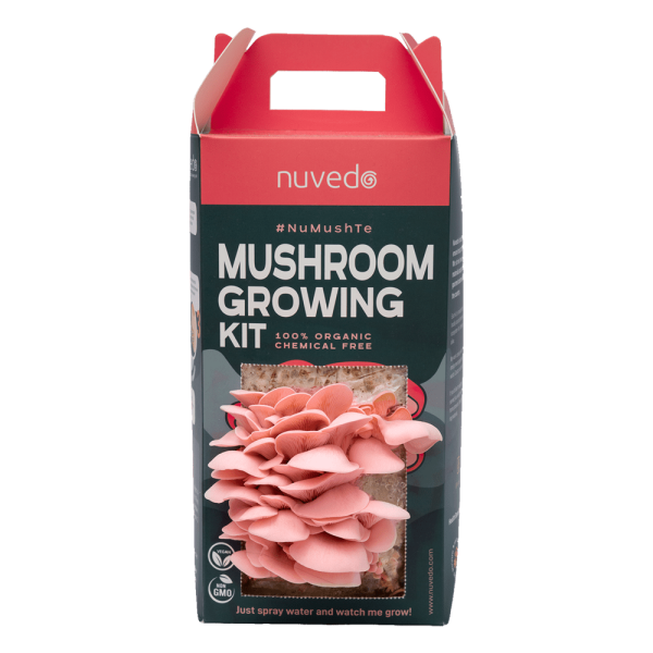 Mushroom growing kit