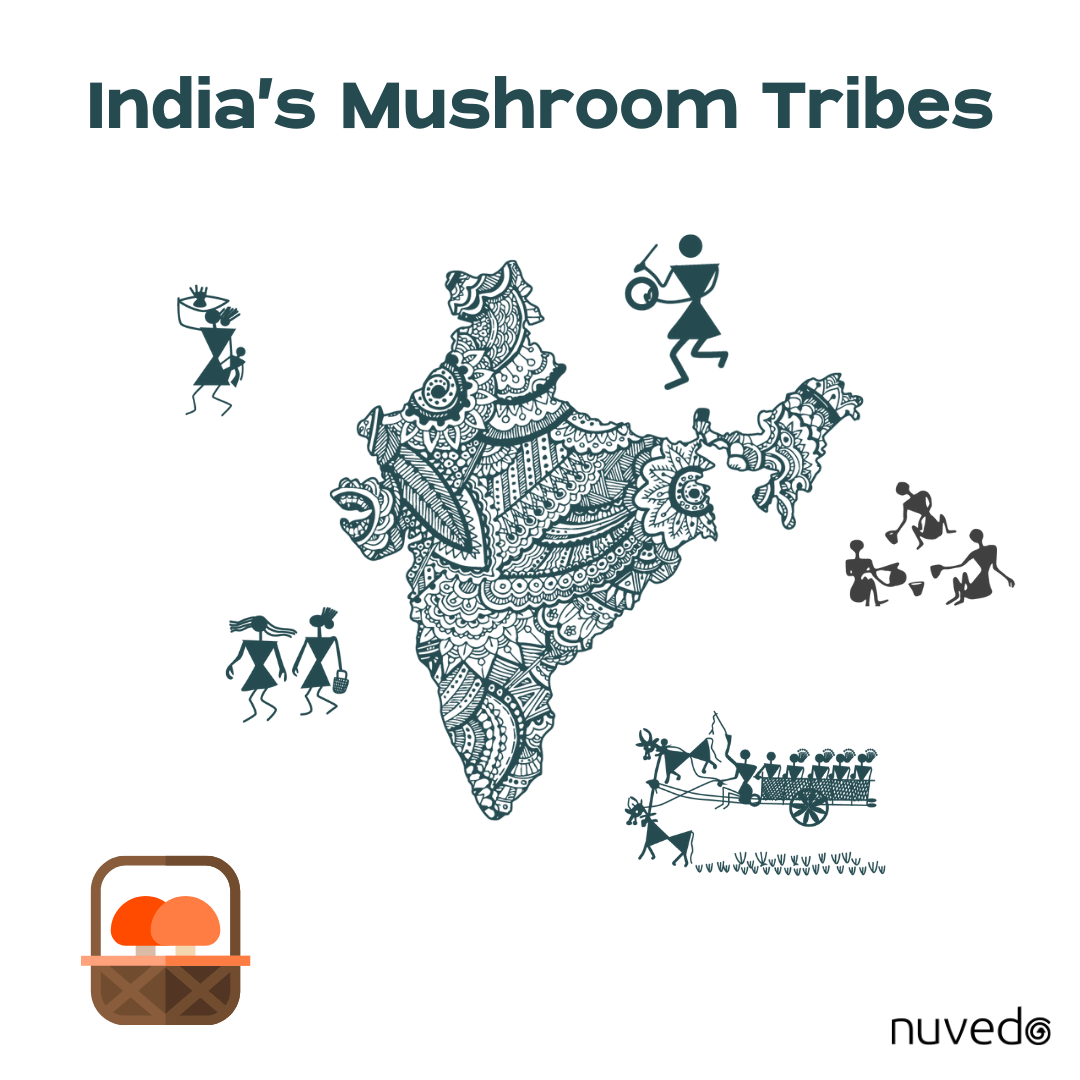 India’s Mushroom Tribes: NuMushTe