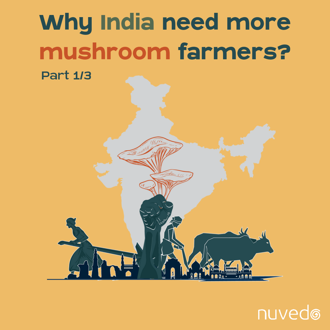Why India Needs More Mushroom Farmers (Part 1/3)
