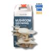 White oyster mushroom grow kit