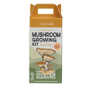 King tuber oyster mushroom growing kit front panel