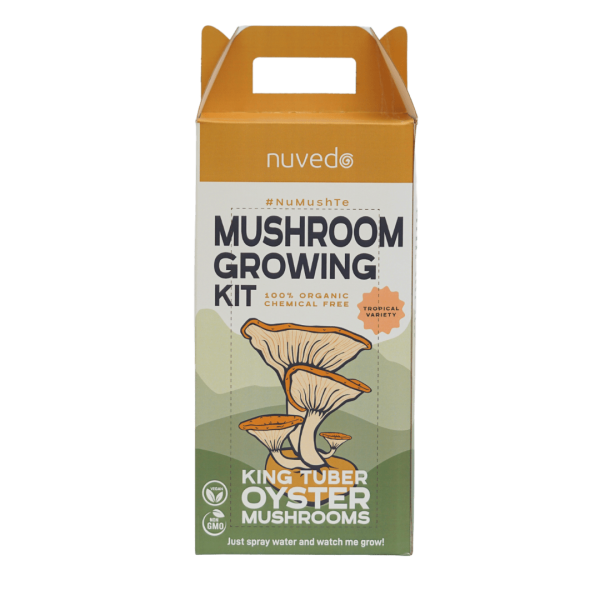 King tuber oyster mushroom growing kit front panel