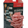 Pink oyster mushroom growing kit