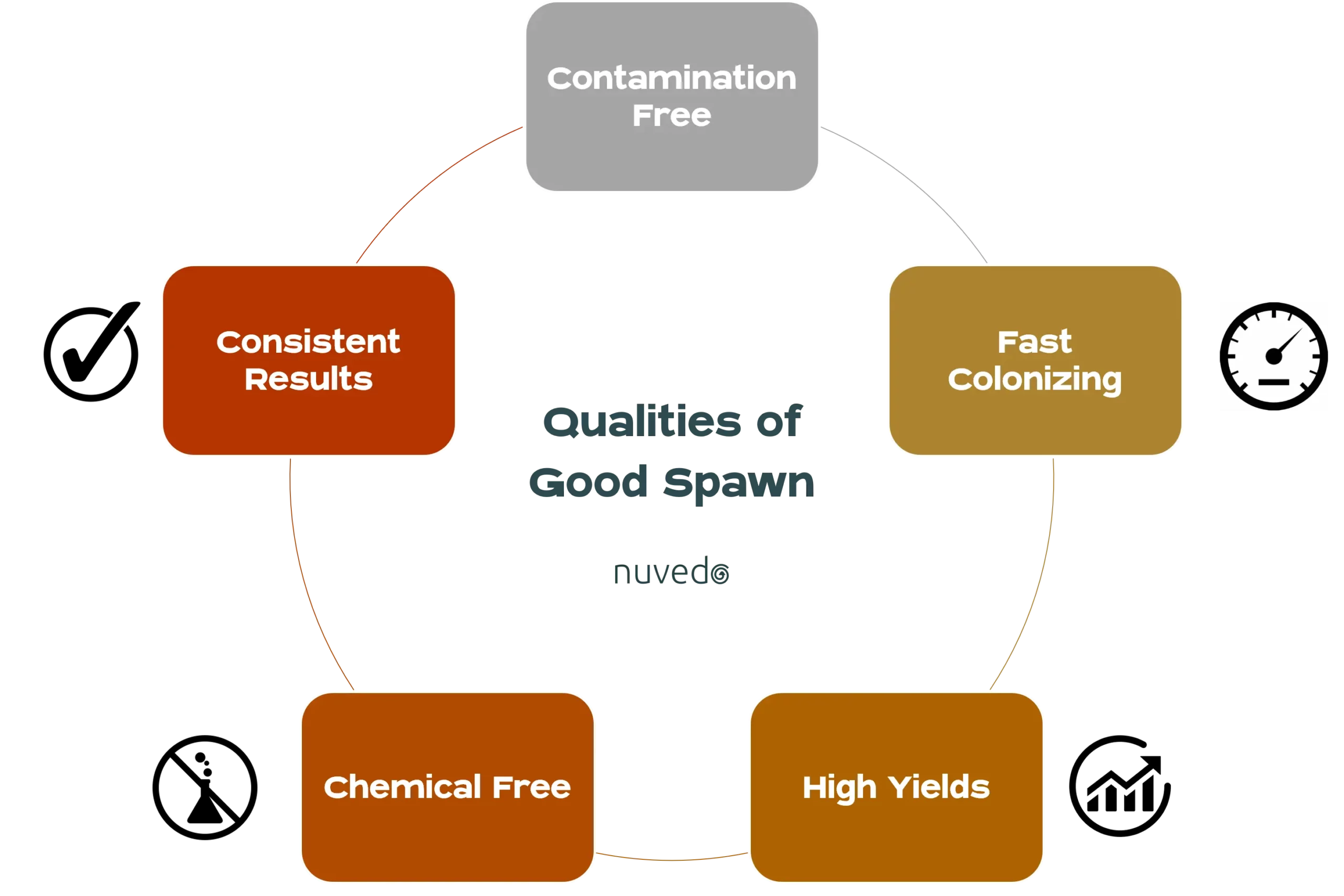 Qualities of good spawn infographic