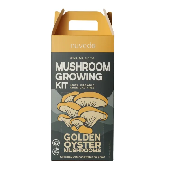 Golden oyster mushroom growing kit by nuvedo