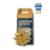 Golden oyster mushroom growing kit