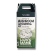 Lions Mane Mushroom Growing Kit by Nuvedo