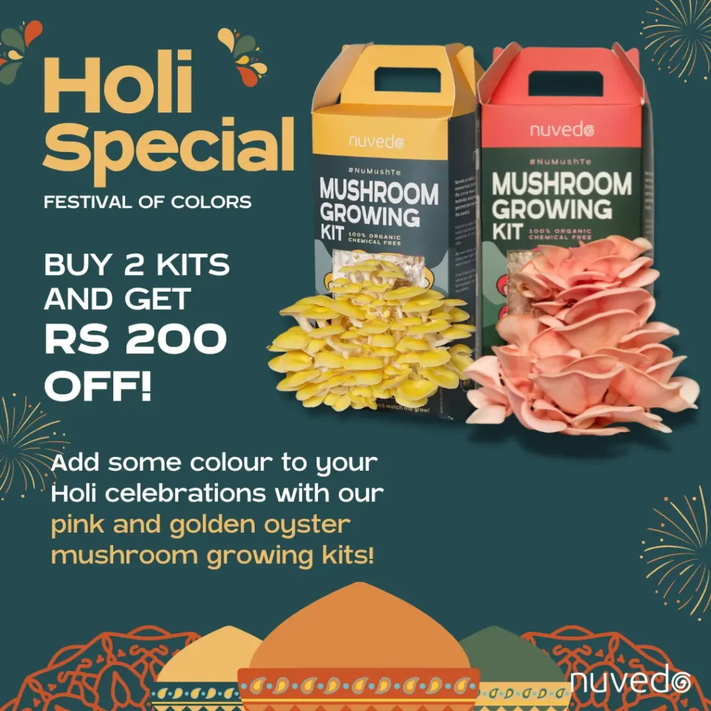 Holi offer for mushroom growing kits