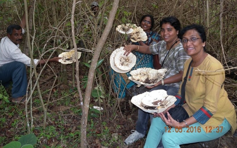 Field work by Dr. Meera Pandey