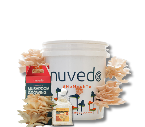 Nuvedo Product