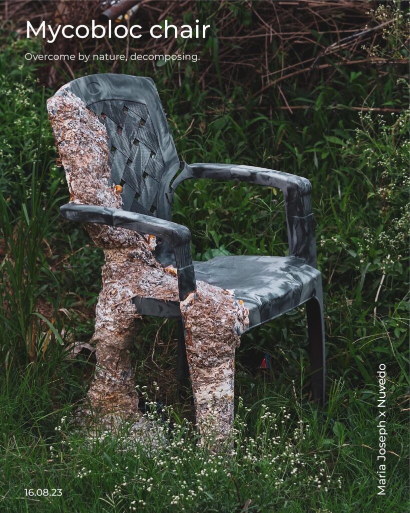 Reishi mushroom mycelium colonising a plastic chair