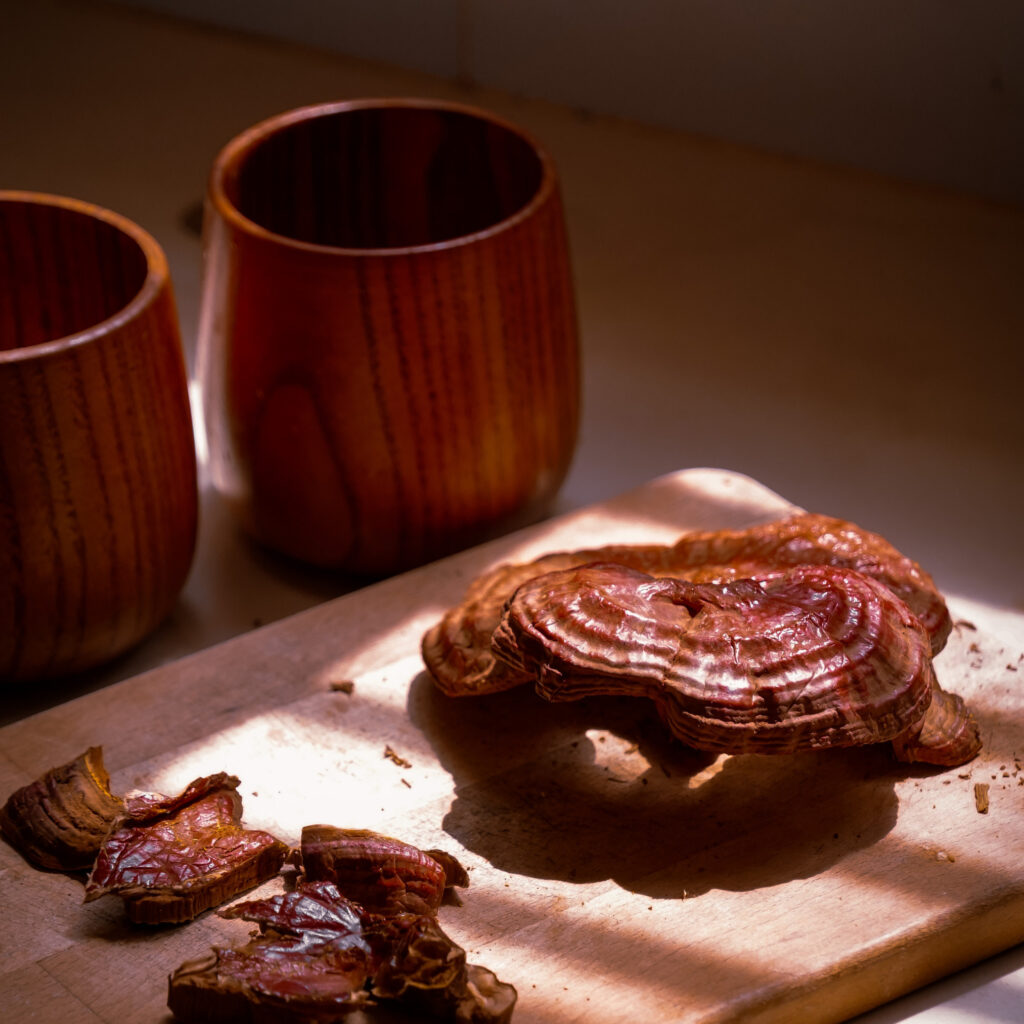 Dry Reishi mushroom