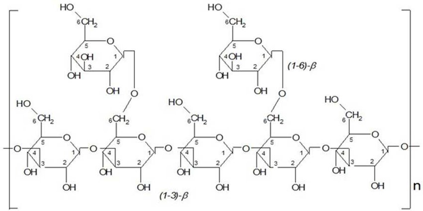 Beta glucans found in Cordyceps cell walls