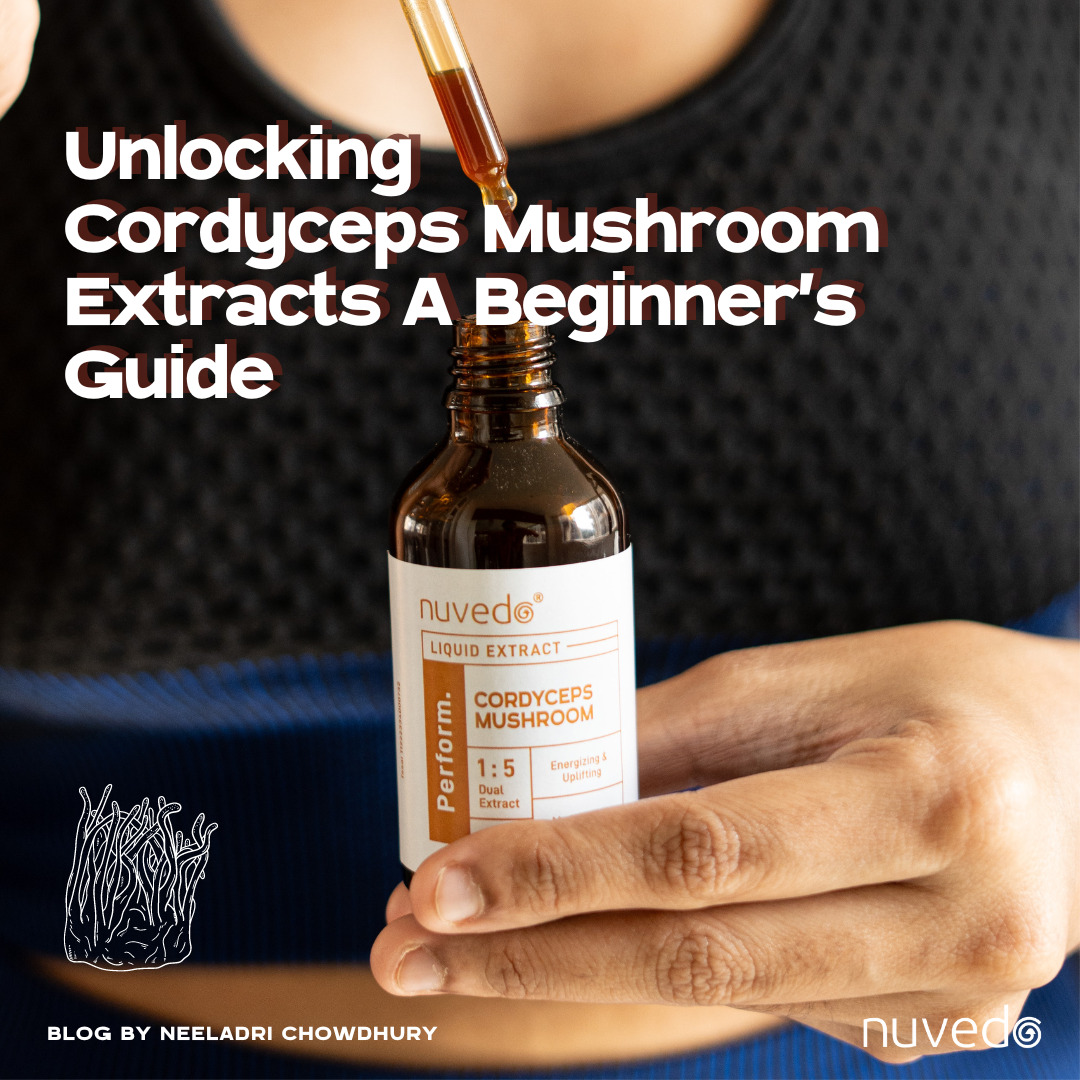 Unlocking the Secrets of Cordyceps Mushroom Extracts: A Comprehensive Beginner’s Guide