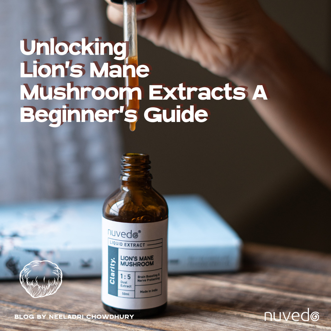 Unlocking the Secrets of Lion’s Mane Mushroom Extracts: A Comprehensive Beginner’s Guide