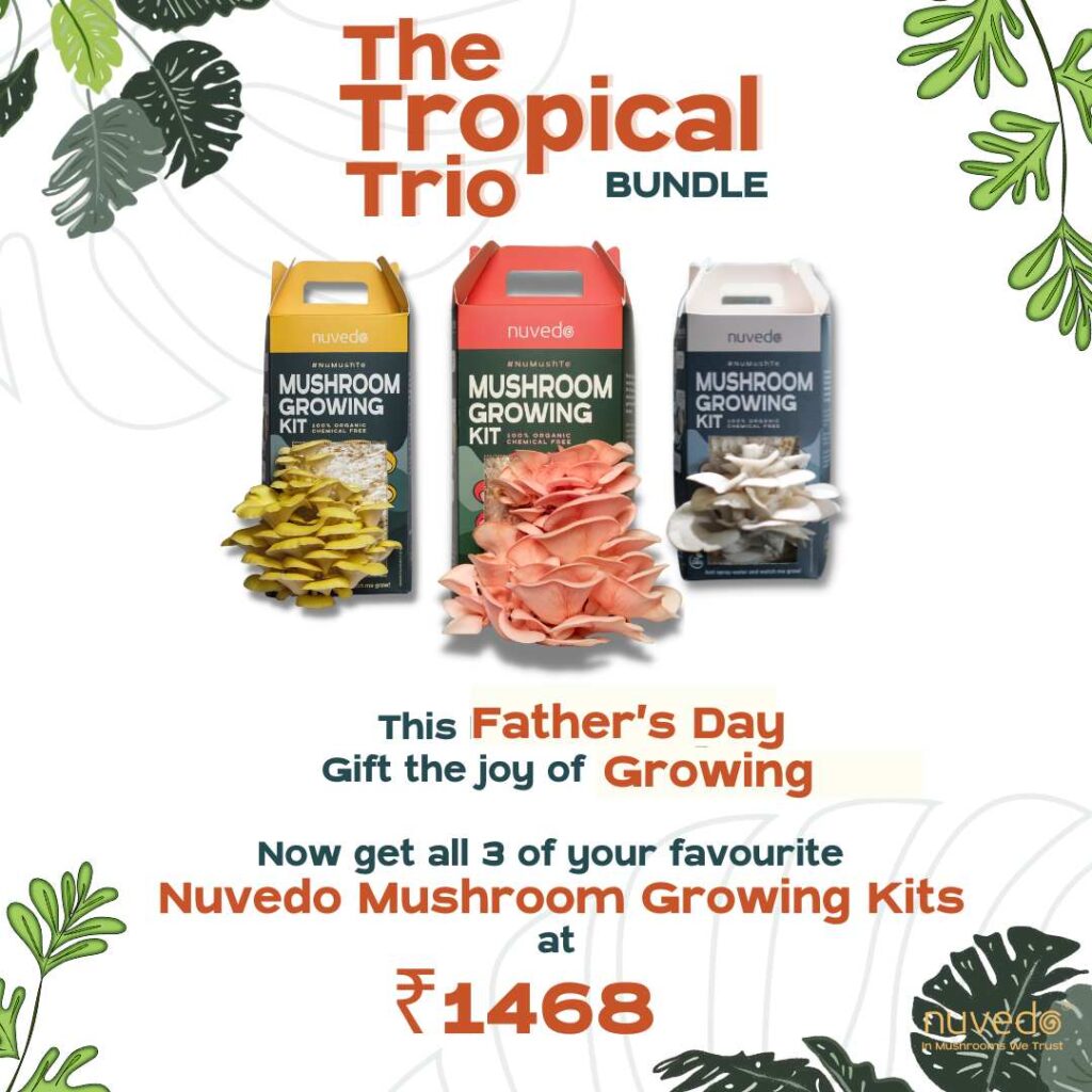 Father's day offer from Nuvedo