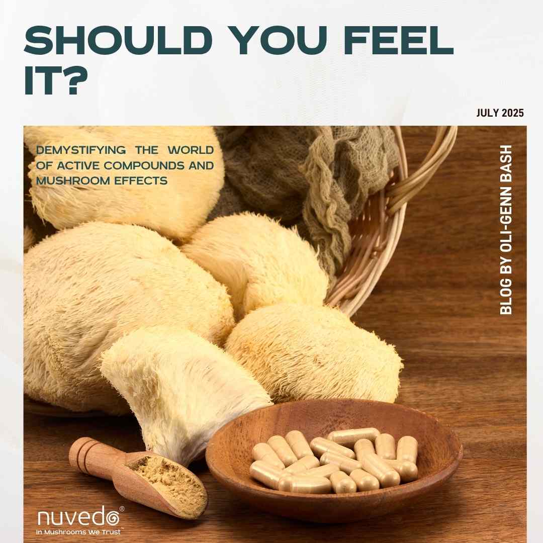 Should You Feel It? Demystifying the world of active compounds and mushroom effects