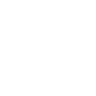 Home Icon