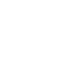 Home Icon