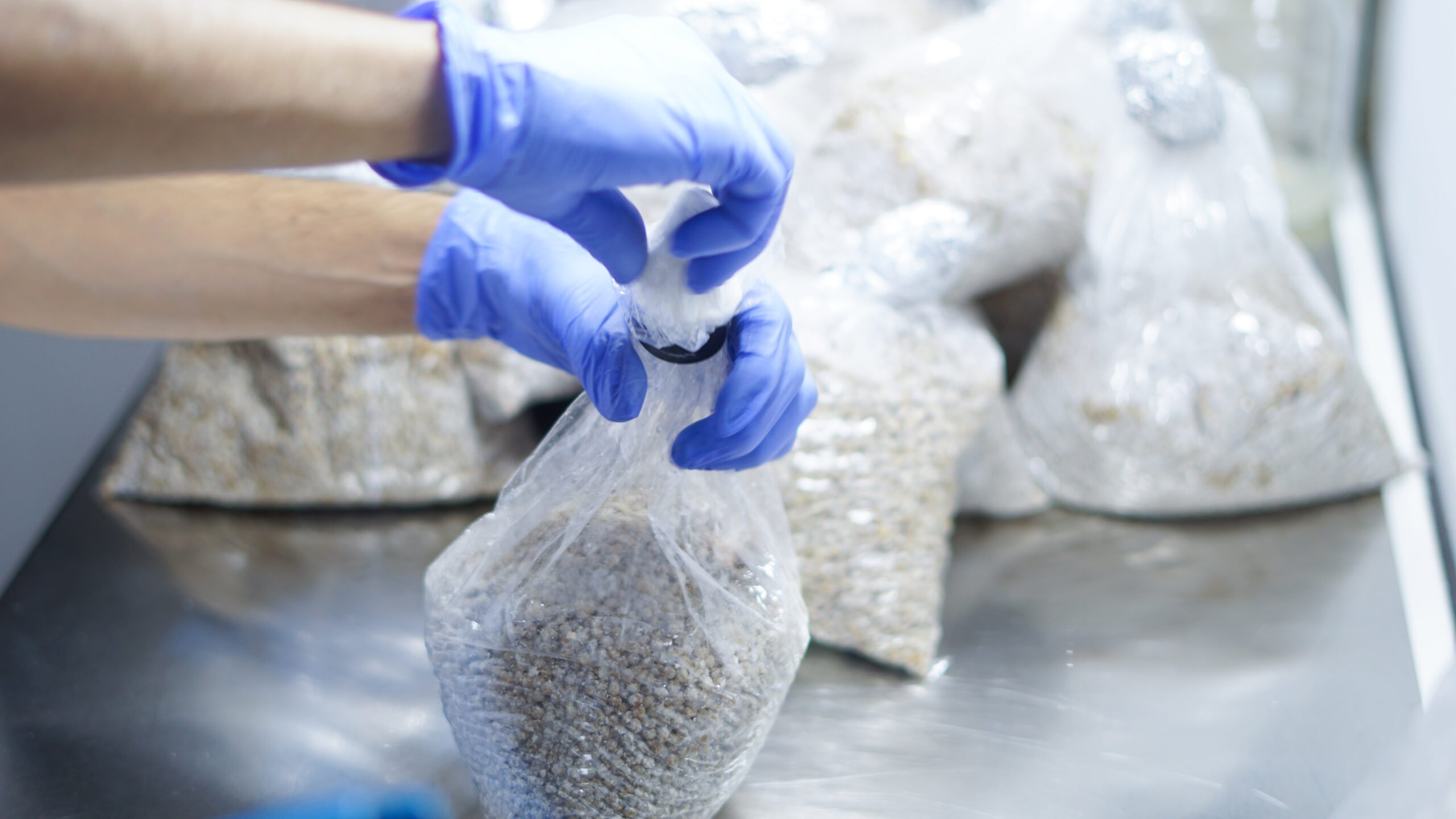 Spawn production lab