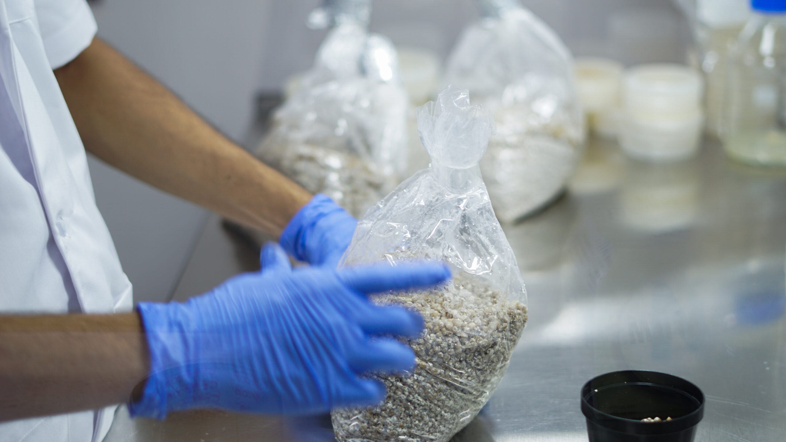 Spawn production lab